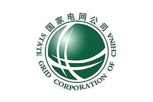 国家电网公司