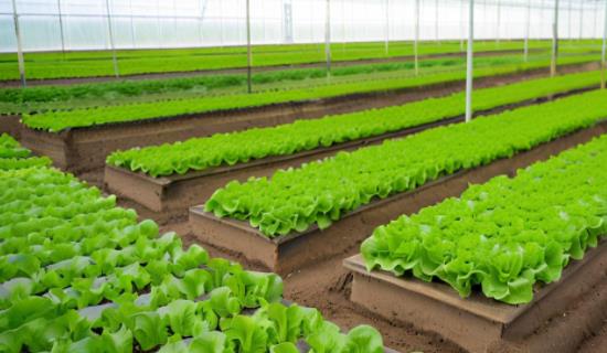 智慧农业虫情监测系统设备仪器 为虫害防治措施制定提供准确详细数据支持